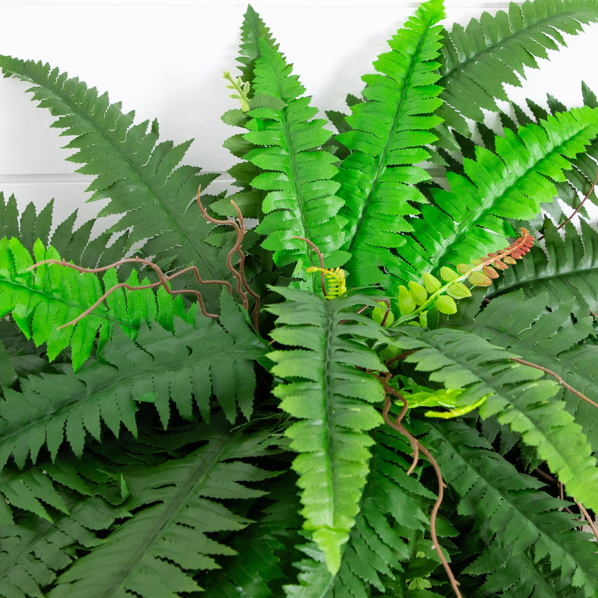 48” Boston Fern (Set of 2)-Plant-Parc Decor