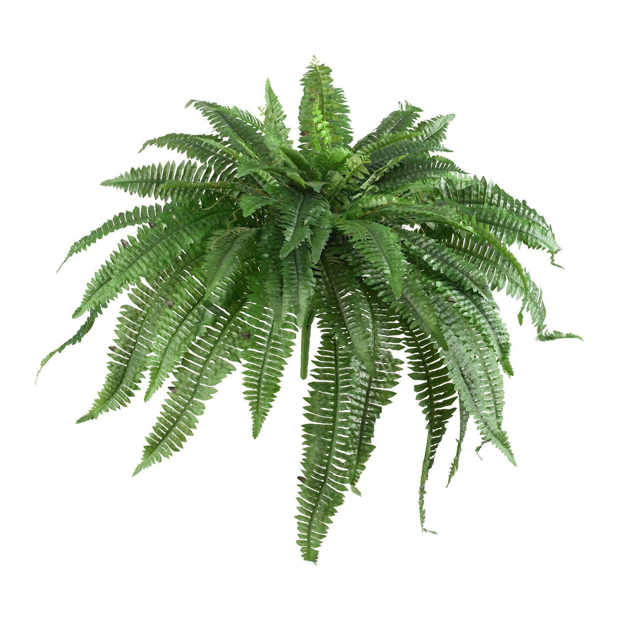 48” Boston Fern (Set of 2)-Plant-Parc Decor