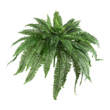 48” Boston Fern (Set of 2)-Plant-Parc Decor