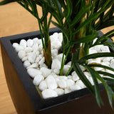 4.5’ Areca Palm Tree with Black Wash Planter UV Resistant (Indoor/Outdoor)-Parc Decor