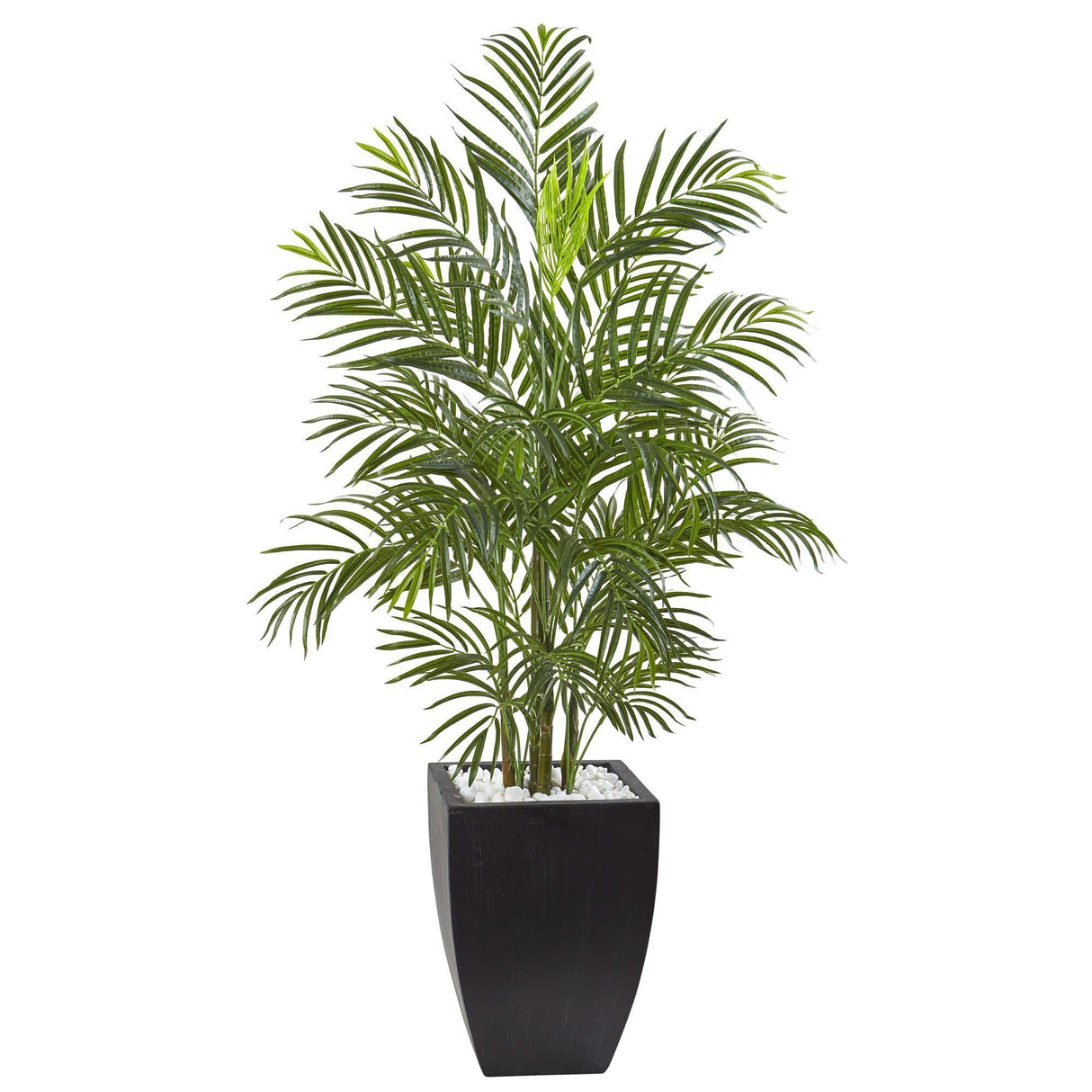 4.5’ Areca Palm Tree with Black Wash Planter UV Resistant (Indoor/Outdoor)-Parc Decor