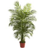 4.5' Areca Palm UV Resistant (Indoor/Outdoor)-Parc Decor