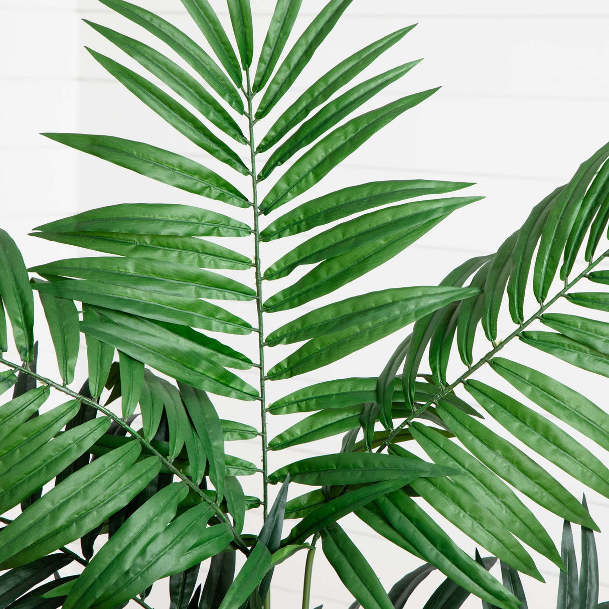 4.5’ Bulb Areca Tree-Parc Decor