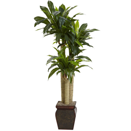 4.5’ Cornstalk Draceana w/Vase (Real Touch)-Parc Decor