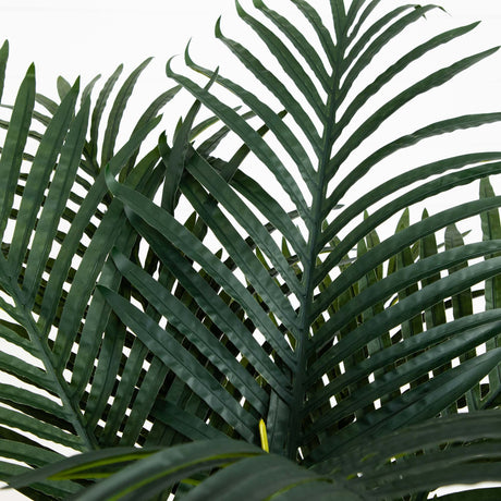 4.5’ Golden Cane Palm w/Decorative Container-Parc Decor