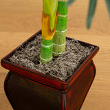 4.5’ Golden Cane Palm w/Decorative Container-Parc Decor