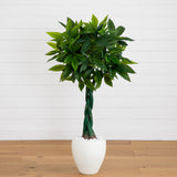 4.5’ Money Artificial Tree in White Oval Planter (Real Touch-Parc Decor