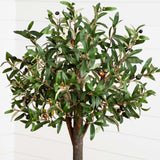 4.5' Olive Double Topiary Silk Tree-Parc Decor