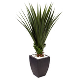 4.5’ Spiked Agave in Black Planter (Indoor/Outdoor)-Parc Decor