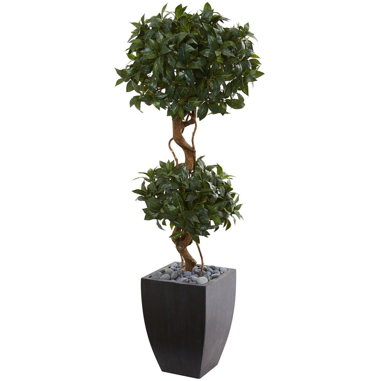 4.5' Sweet Bay Artificial Double Topiary Tree in Black Wash Planter-Parc Decor