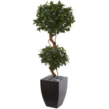 4.5' Sweet Bay Artificial Double Topiary Tree in Black Wash Planter-Parc Decor