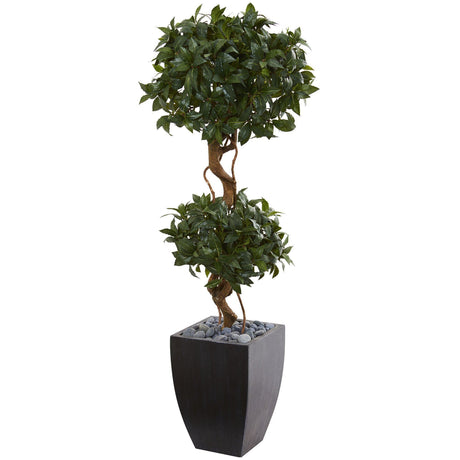 4.5' Sweet Bay Artificial Double Topiary Tree in Black Wash Planter-Parc Decor