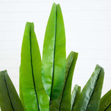 4.5’ Traveler's Palm Artificial Tree-Parc Decor