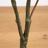 4ft. Autumn Sumac Artificial Fall Tree-Tree-Parc Decor