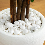 5’ Azalea Artificial Tree in White Planter-Parc Decor