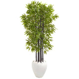 5’ Bamboo Artificial Tree with Black Trunks in White Planter (Indoor/Outdoo)-Parc Decor