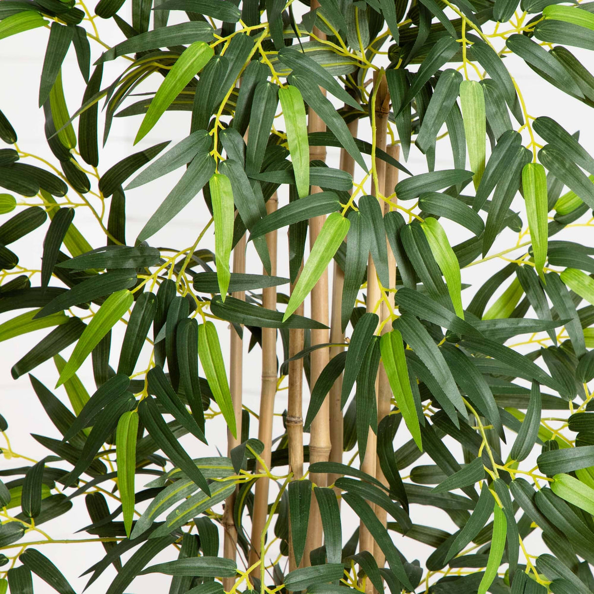 5’ Bamboo Tree in Gray Cylinder Planter-Parc Decor