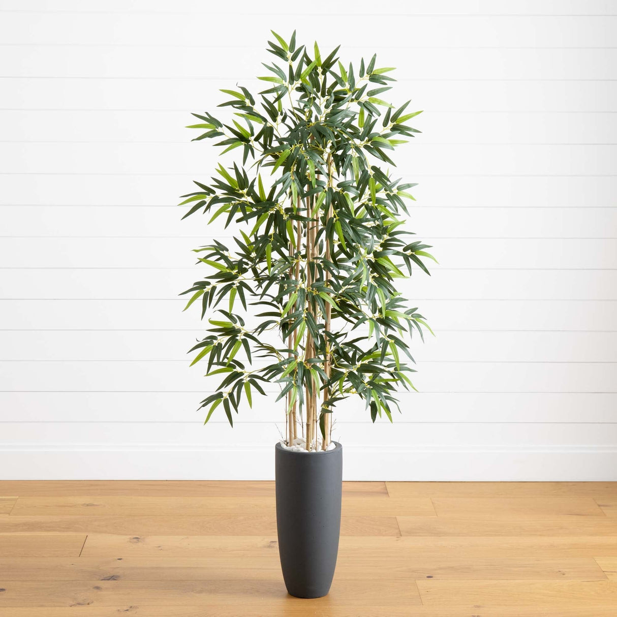 5’ Bamboo Tree in Gray Cylinder Planter-Parc Decor