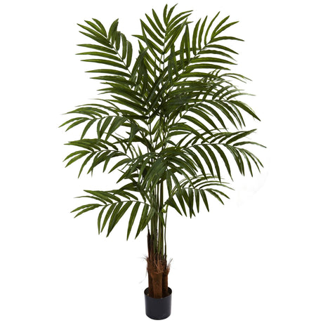 5’' Big Palm Tree-Parc Decor