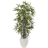 5’ Black Bamboo Tree in White Oval Planter-Parc Decor