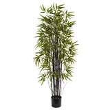 5’ Black Bamboo Tree-Parc Decor