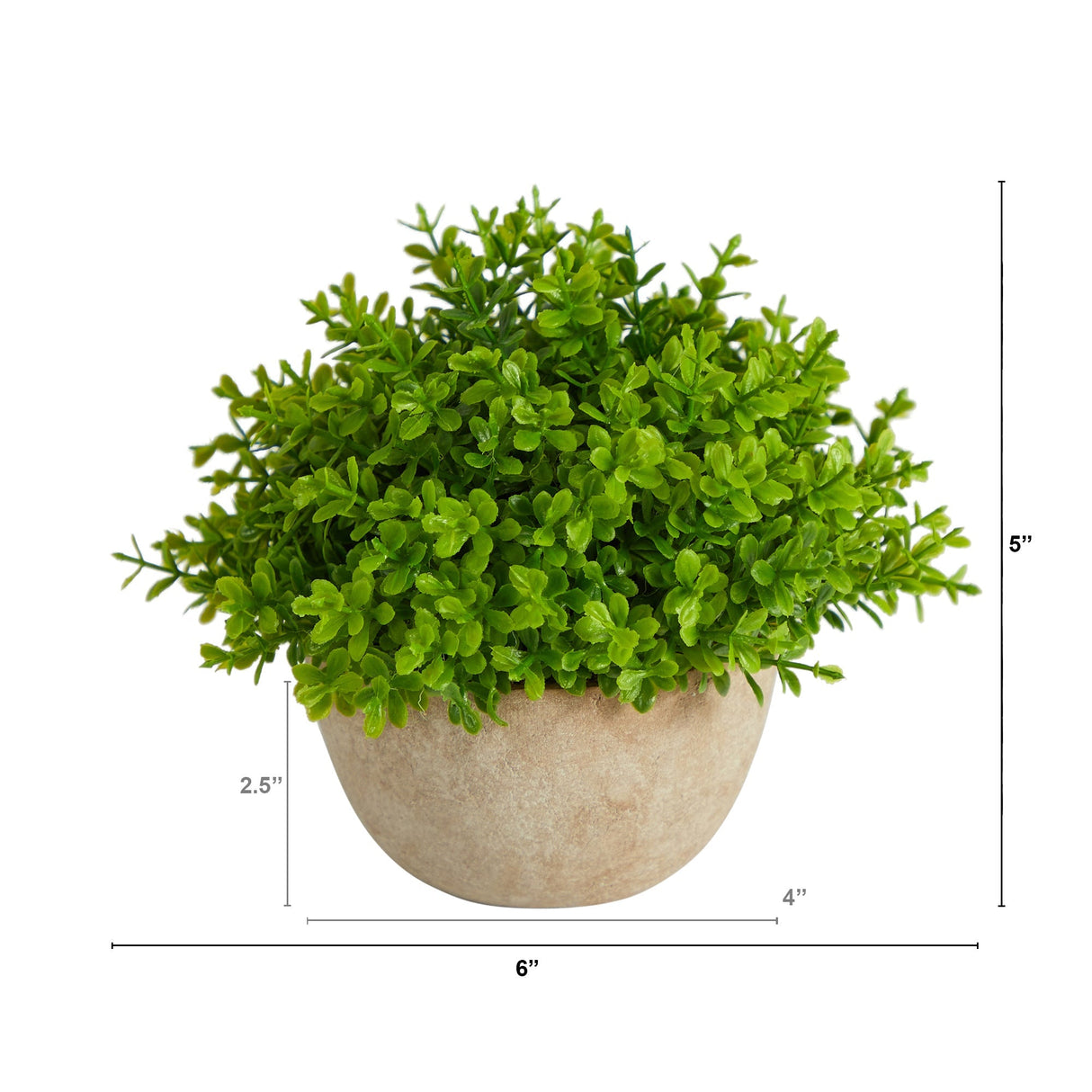 5” Boxwood Artificial Plant in Decorative Planter-Parc Decor