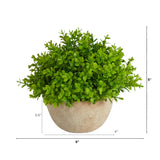 5” Boxwood Artificial Plant in Decorative Planter-Parc Decor