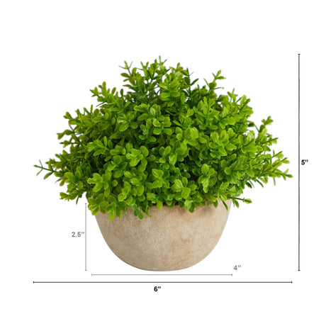 5” Boxwood Artificial Plant in Decorative Planter-Parc Decor