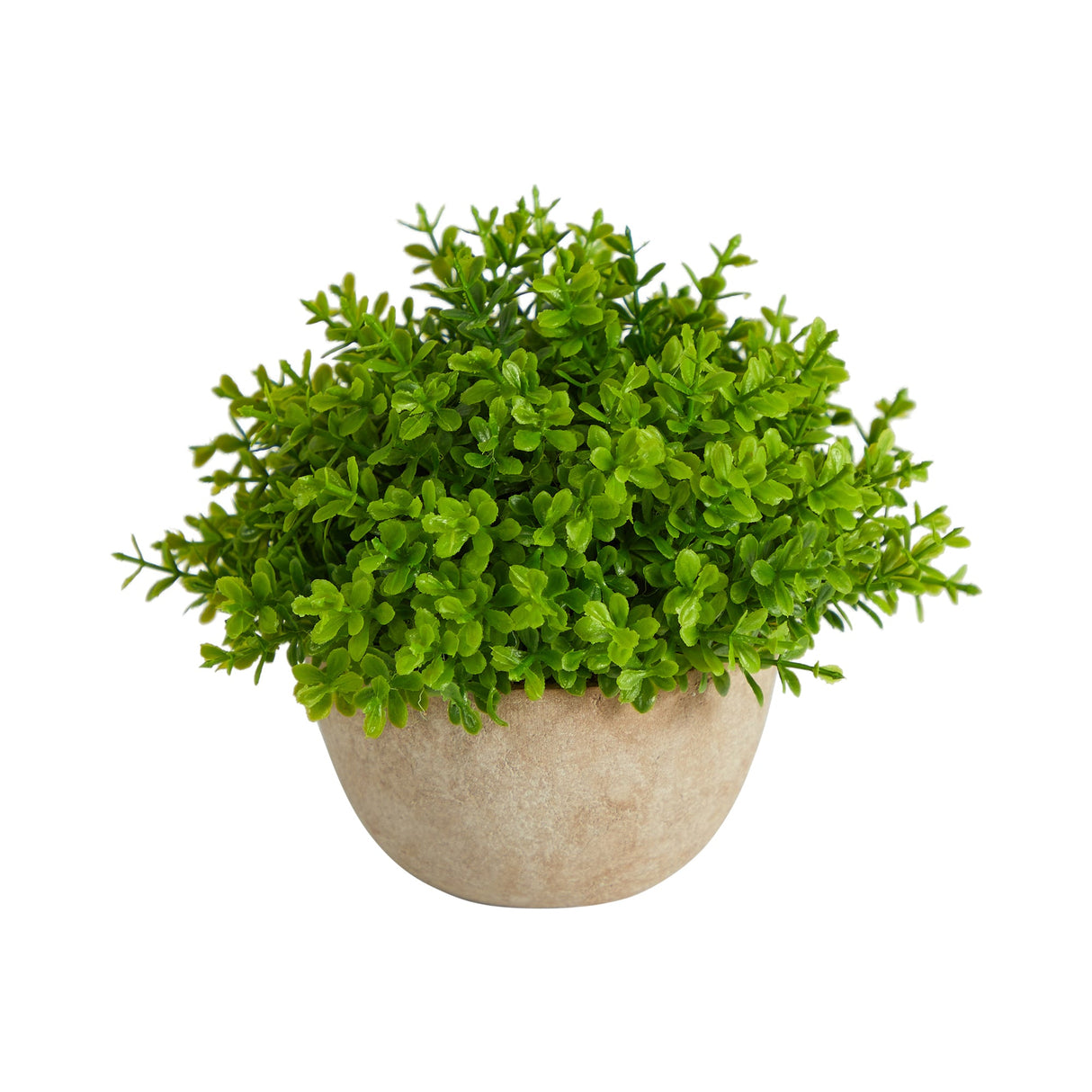 5” Boxwood Artificial Plant in Decorative Planter-Parc Decor