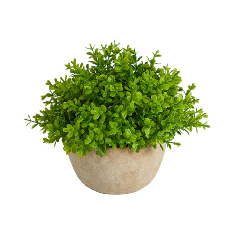5” Boxwood Artificial Plant in Decorative Planter-Parc Decor