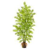 5’ Bracken Fern Artificial Tree-Parc Decor