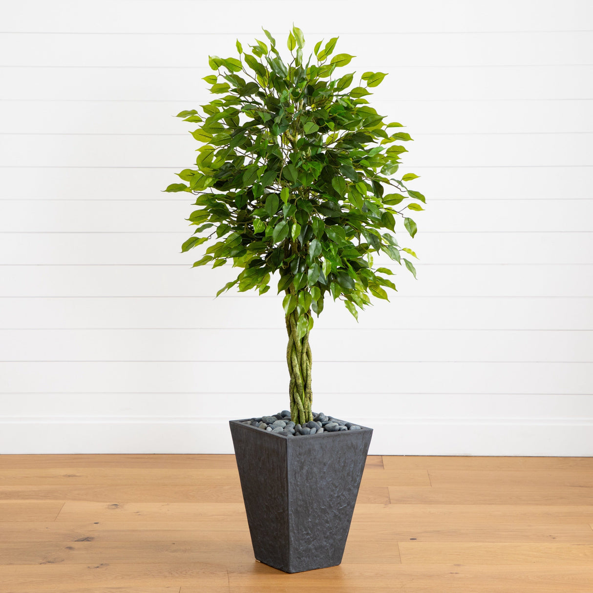 5’ Braided Ficus Artificial Tree in Slate Planter(Indoor/Outdoor)-Parc Decor