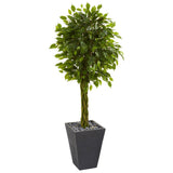 5’ Braided Ficus Artificial Tree in Slate Planter(Indoor/Outdoor)-Parc Decor