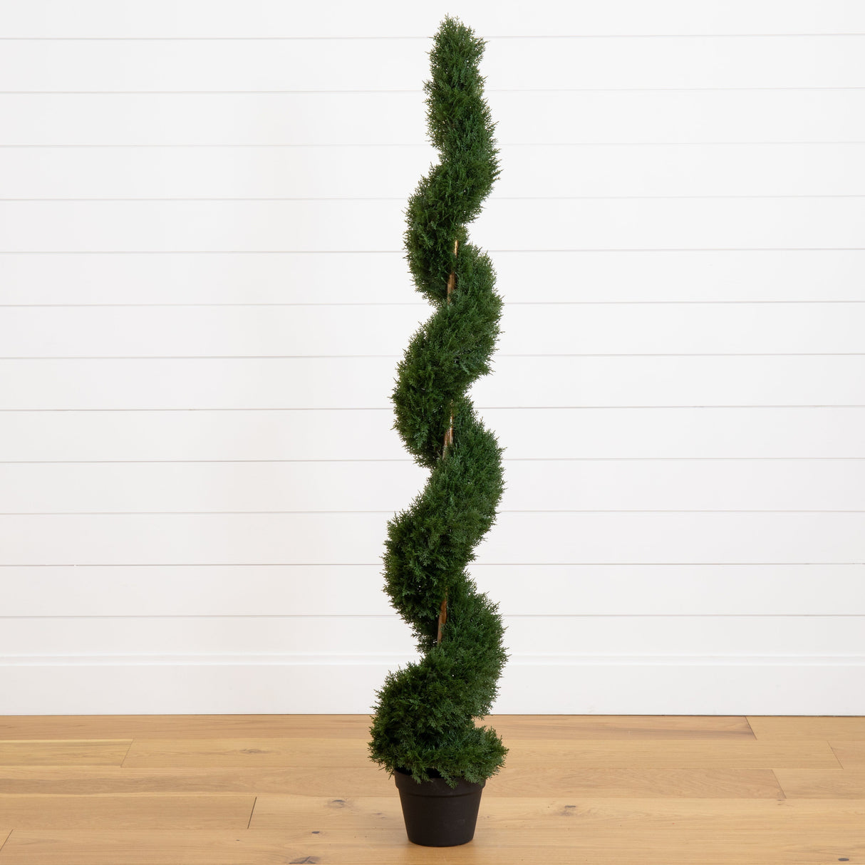 5' Cedar Spiral Silk Tree (In-door/Out-door)-Parc Decor