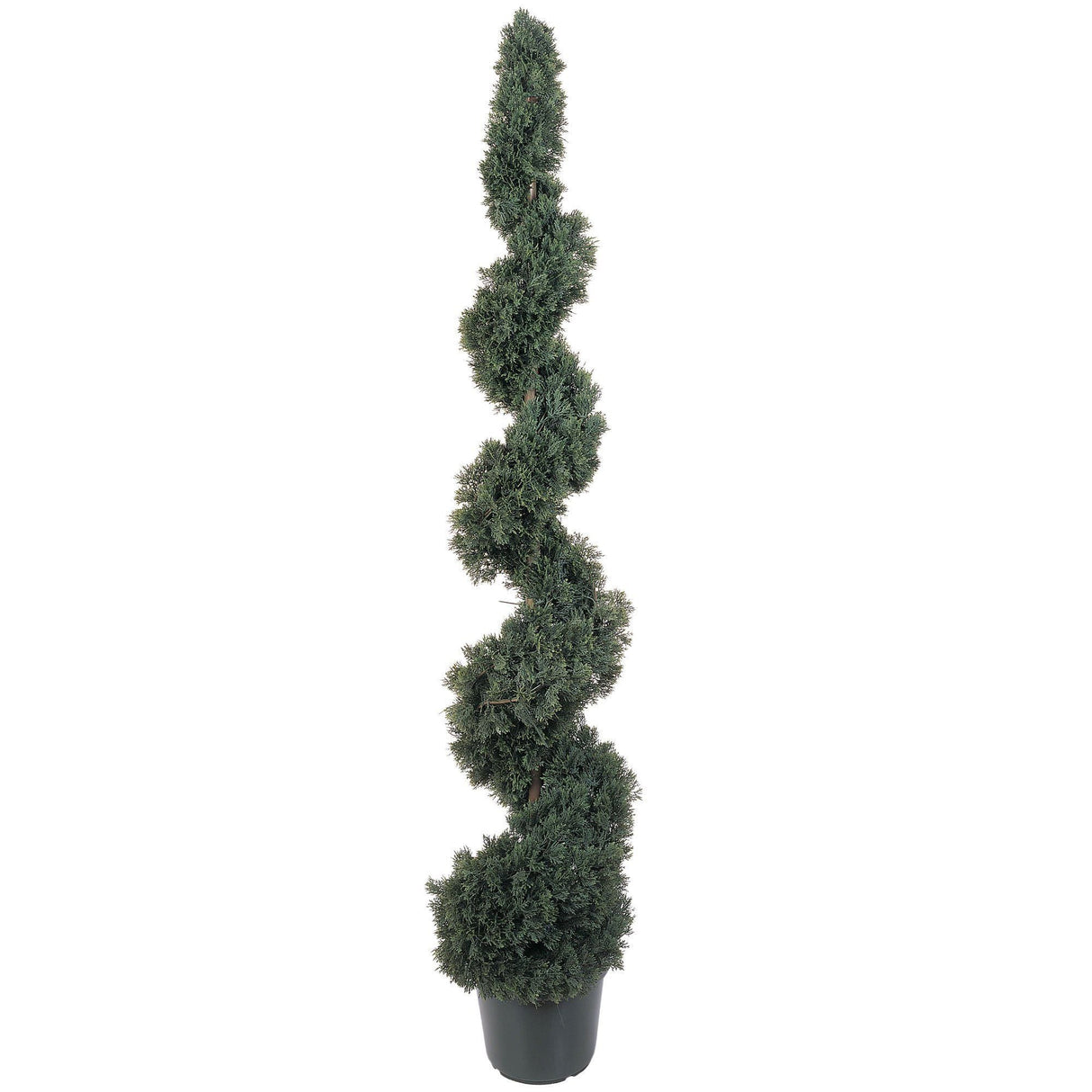 5' Cedar Spiral Silk Tree (In-door/Out-door)-Parc Decor