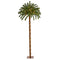 5’ Christmas Palm Artificial Tree with 150 Warm White LED Lights-Parc Decor
