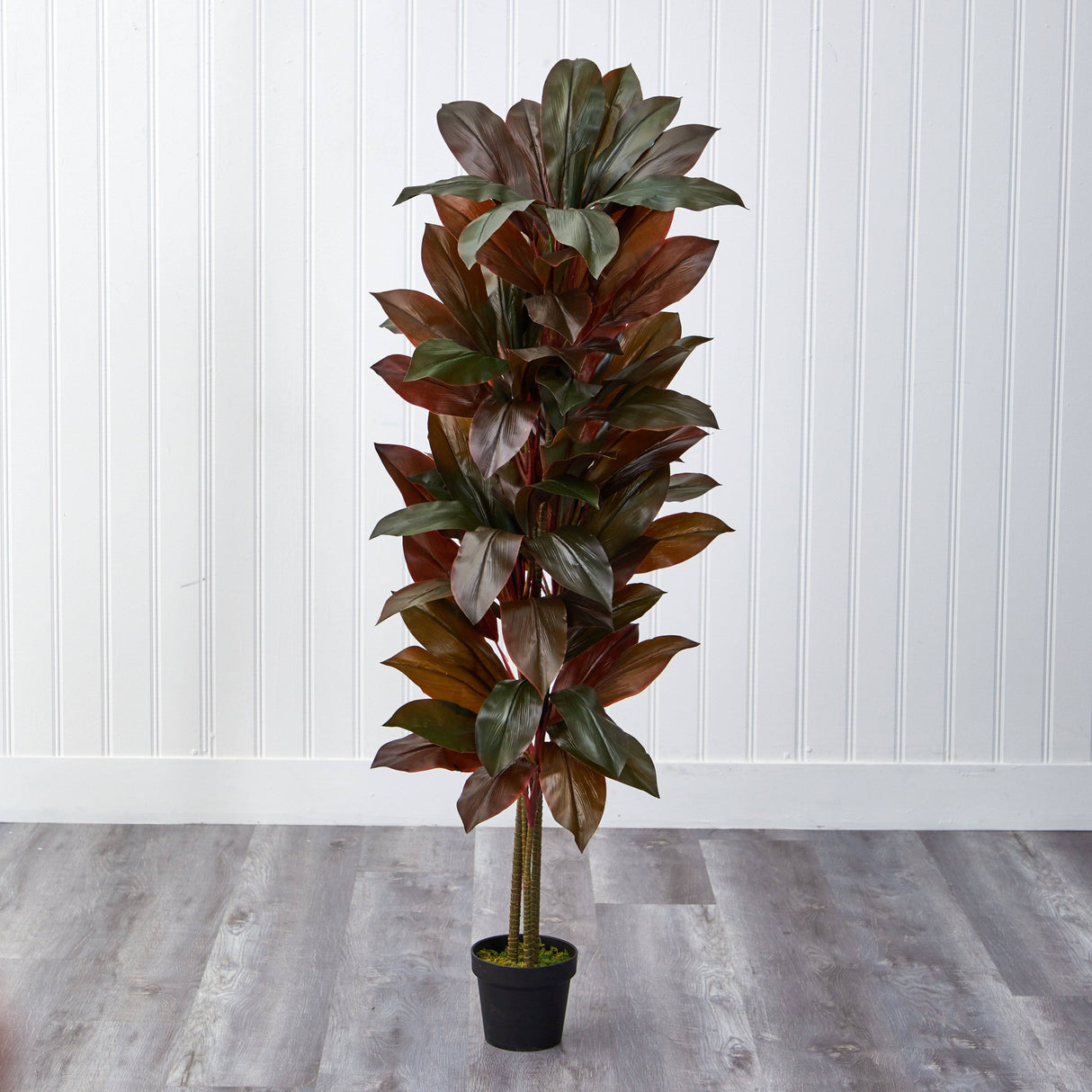 5' Cordyline Silk Plant (Real Touch)-Parc Decor
