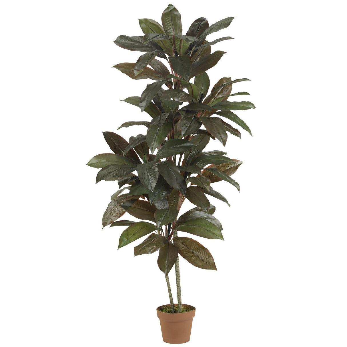 5' Cordyline Silk Plant (Real Touch)-Parc Decor
