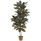 5' Cordyline Silk Plant (Real Touch)-Parc Decor