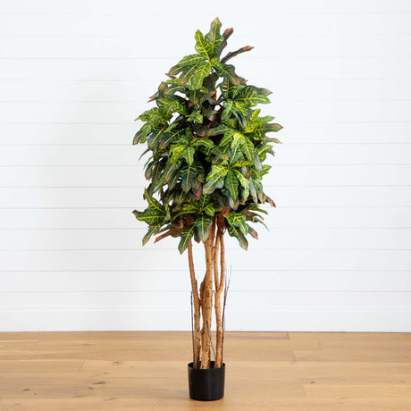 5' Croton Silk Tree-Parc Decor