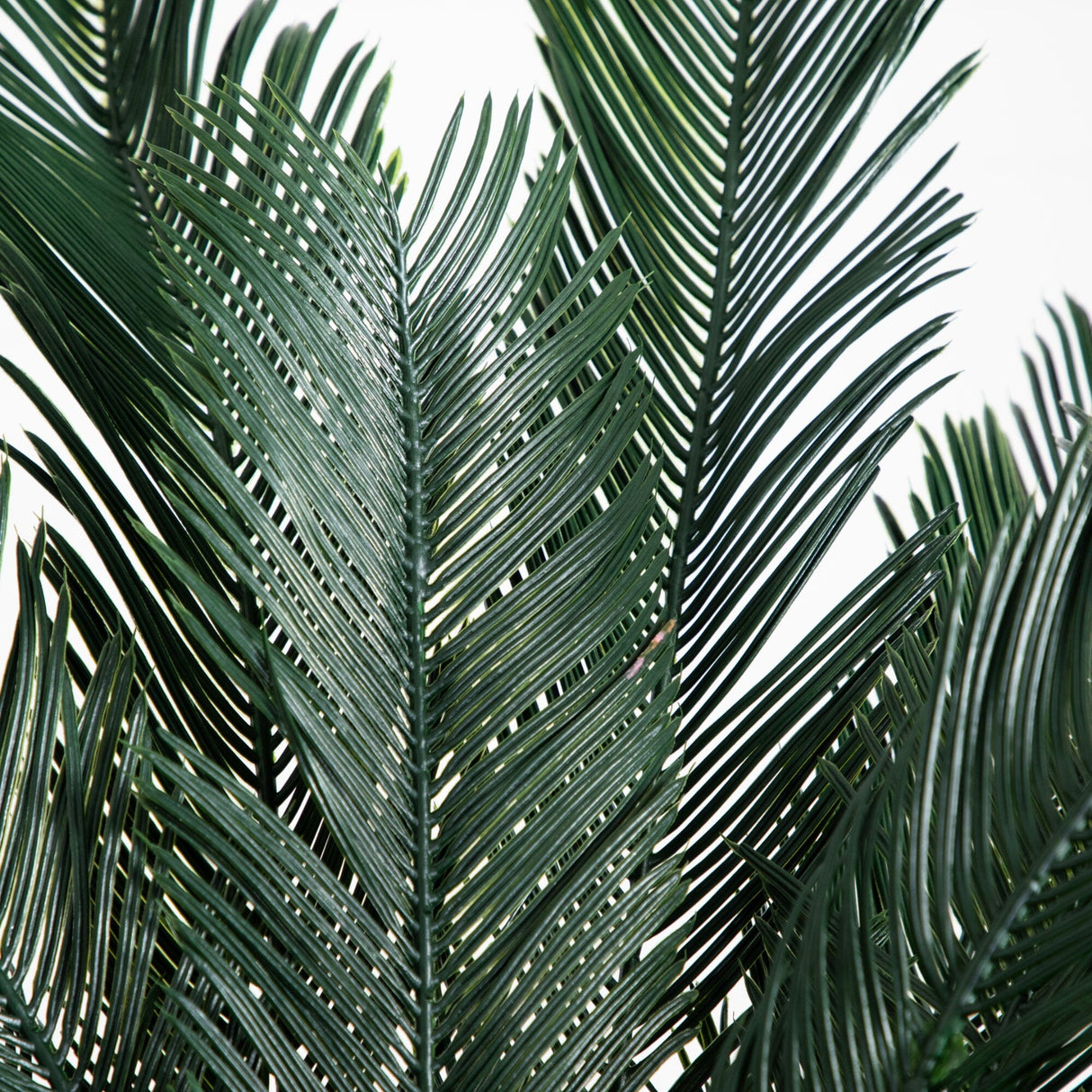 5’ Cycas Tree UV Resistant (In-door/Out-Door)-Parc Decor