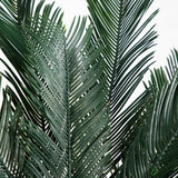 5’ Cycas Tree UV Resistant (In-door/Out-Door)-Parc Decor