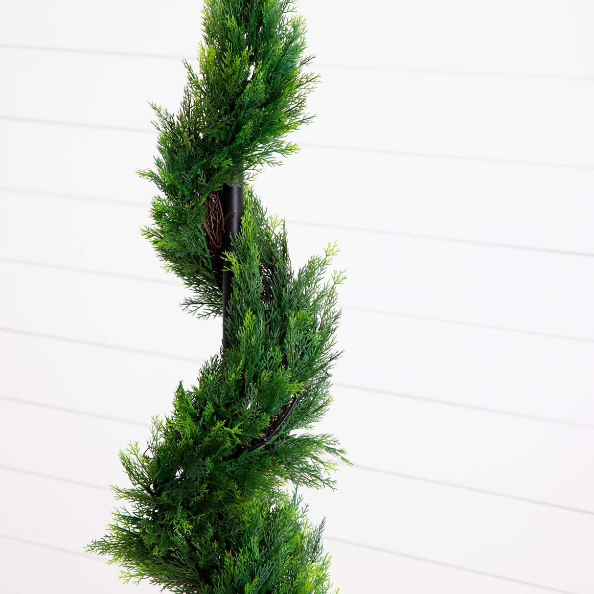 5' Cypress Spiral Tree-Parc Decor