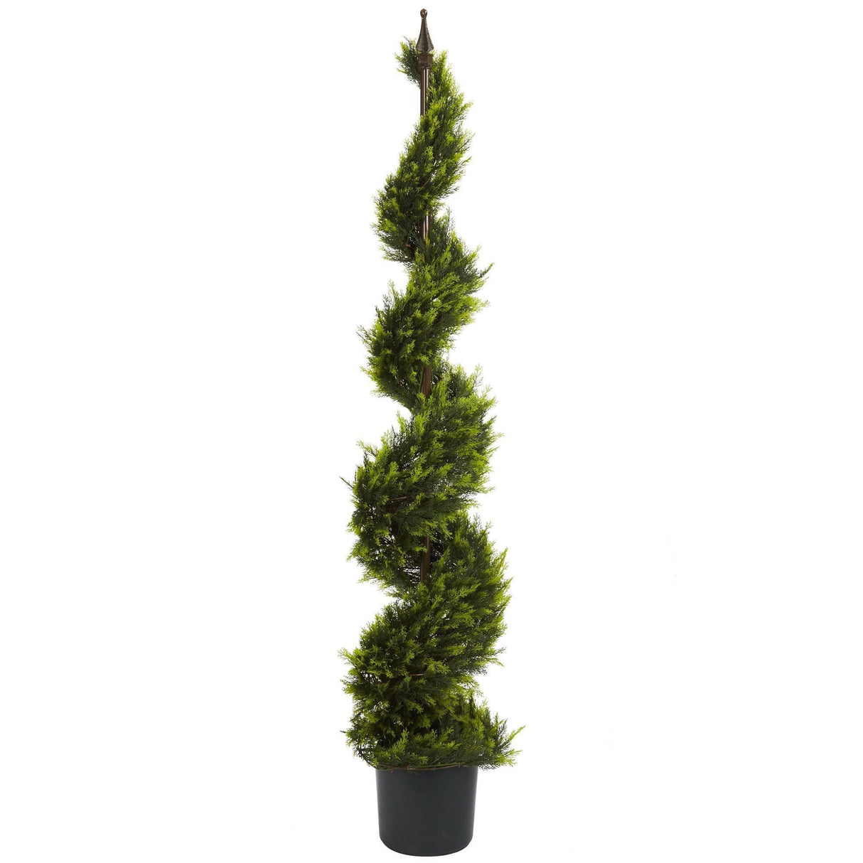 5' Cypress Spiral Tree-Parc Decor