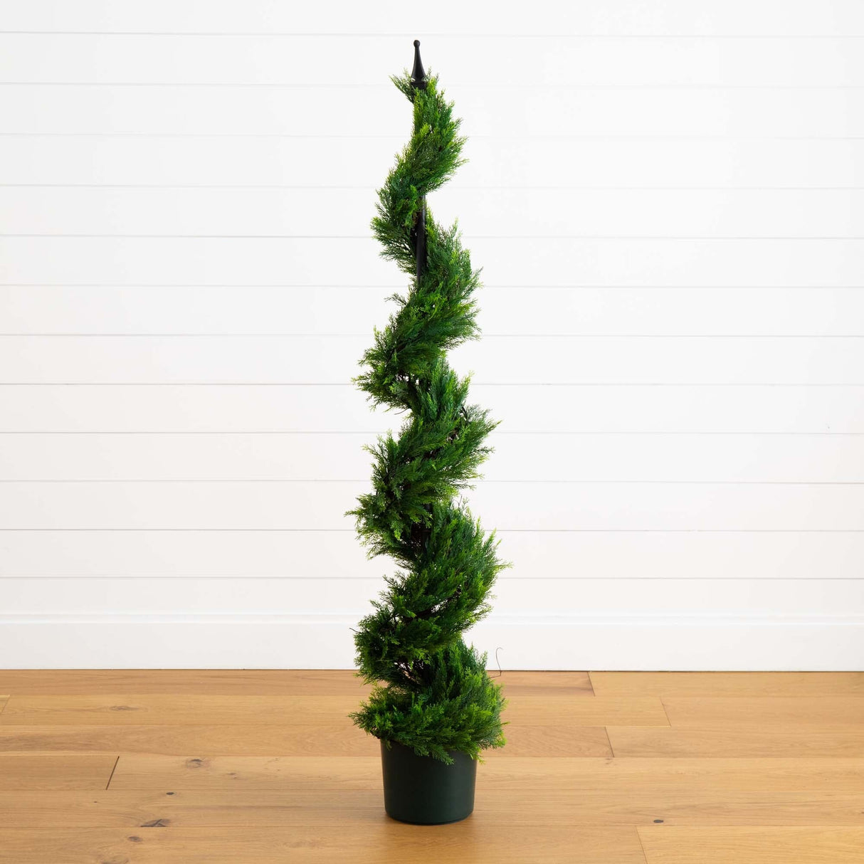 5' Cypress Spiral Tree-Parc Decor