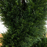 5’ Double Cypress Spiral Topiary Artificial Tree in Black Planter (Indoor/Outdoor)-Parc Decor