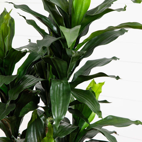 5’ Dracaena Plant UV Resistant (Indoor/Outdoor)-Parc Decor