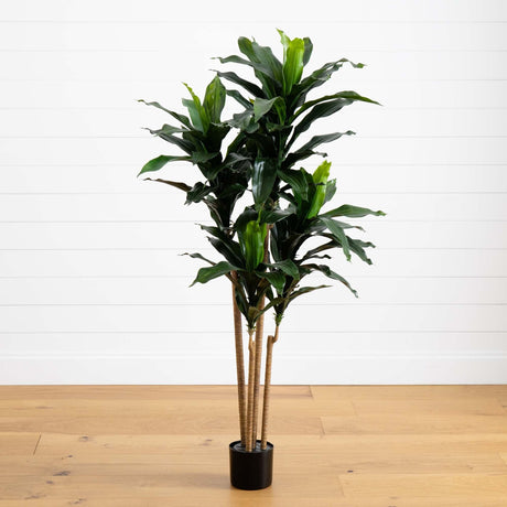 5’ Dracaena Plant UV Resistant (Indoor/Outdoor)-Parc Decor