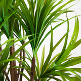 5’ Dracaena Silk Tree-Parc Decor