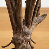 5’ Dracaena Silk Tree-Parc Decor